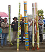 Long Gourds