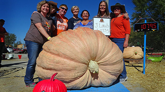 Lady Utah Growers