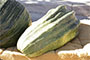 Marrow