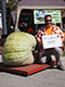 449 Crain Squash